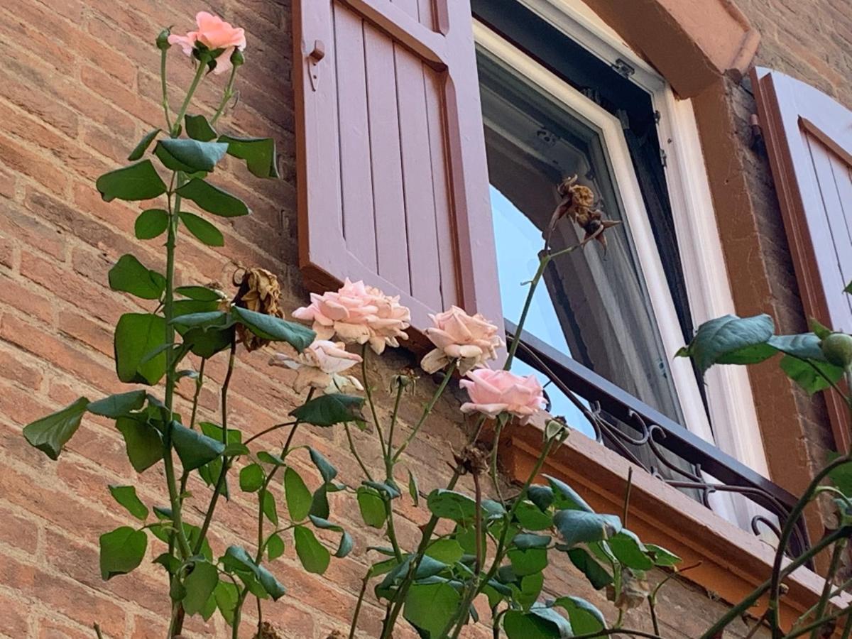 Casina Delle Rose Apartment โบโลญญา ภายนอก รูปภาพ